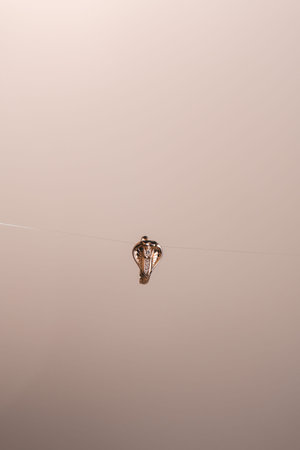 Handcrafted Luxury Jewelry with Diamonds and Goldの写真素材