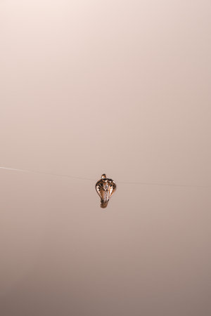 Glimmering Jewelry for Every Styleの写真素材