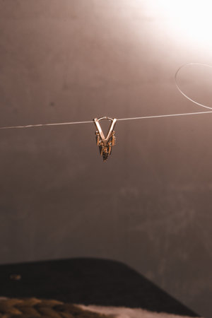 Timeless Jewelry Designs Featuring Gold and Diamondsの写真素材