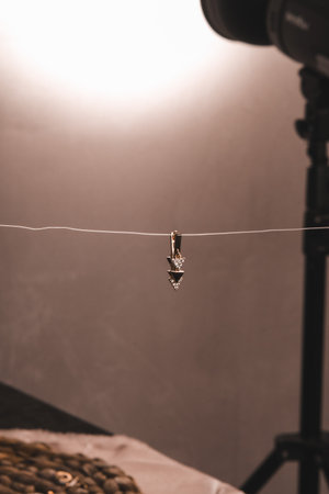 stylish jewelry like silver, gold, diamonds, precious stones.の写真素材