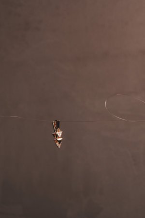 Handmade precious jewelry. Bijouterie and jewelery gold and diamonds for womenの写真素材