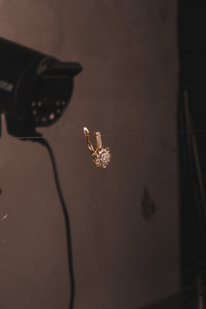 Timeless Luxury Jewelry: Diamonds and Gold Designsの写真素材