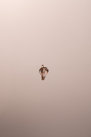 Stunning Gold and Diamond Bridal Jewelry Setsの写真素材