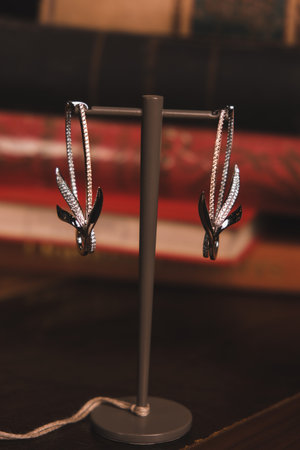 Brilliant Diamond Necklaces and Fine Gold Jewelryの写真素材