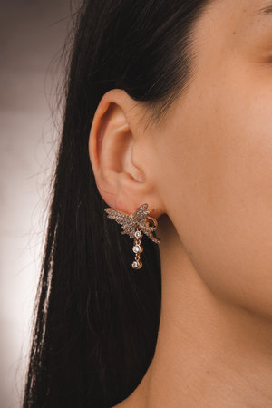 Elegant jewelry, Jewels set with gemstones.の写真素材