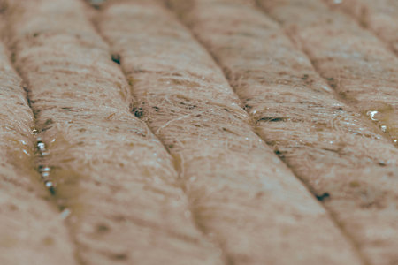 Authentic Turkish Dessert with Rich Syrupの写真素材