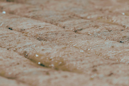 Baklava with Honey Drizzle and Crushed Nutsの写真素材