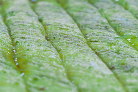 Sweet layers of perfection in every biteの写真素材