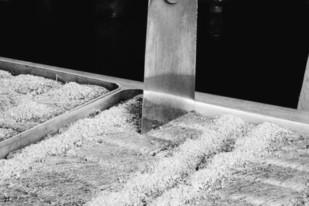 Close-Up of Freshly Baked Baklava Piecesの写真素材