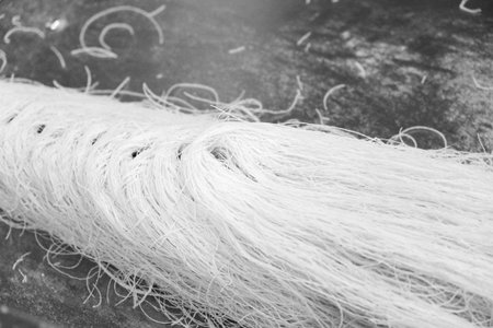 Authentic Turkish Dessert with Rich Syrupの写真素材