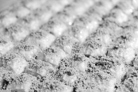 Elegant Baklava Plating for Gourmet Presentationの写真素材