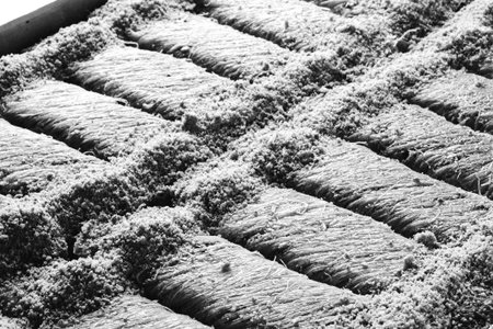 Close-Up of Freshly Baked Baklava Piecesの写真素材