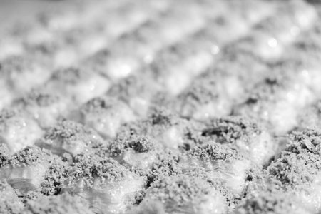 Sweet Treat from the Ottoman Cuisine: Pistachio Baklavaの写真素材