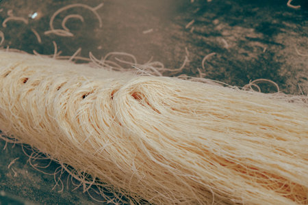 Close-Up of Freshly Baked Baklava Piecesの写真素材