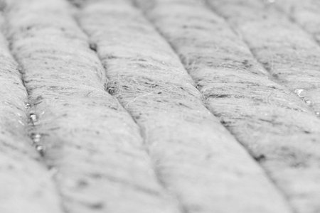 Sweet Treat from the Ottoman Cuisine: Pistachio Baklavaの写真素材