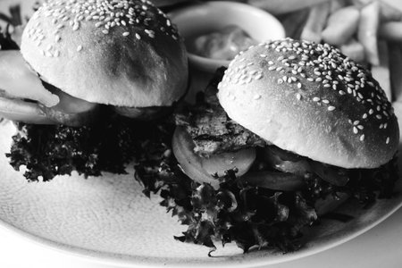 Homemade hamburger with fresh vegetablesの写真素材