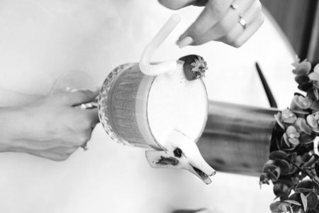 A variety of cocktailsの写真素材