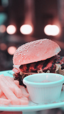 Homemade hamburger with fresh vegetablesの写真素材