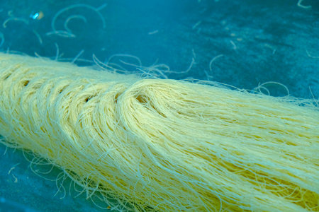 Delicious Dessert Pistachio Baklavaの写真素材