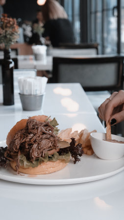 Homemade hamburger with fresh vegetablesの写真素材