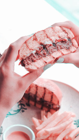 Homemade hamburger with fresh vegetablesの写真素材