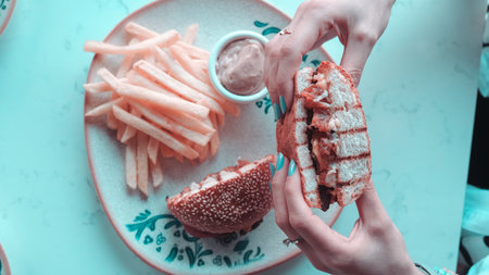 Homemade hamburger with fresh vegetablesの写真素材