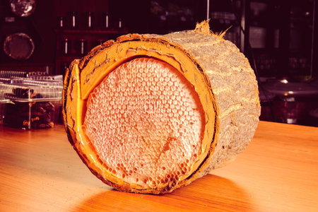 delicious honeycomb and honey on the table