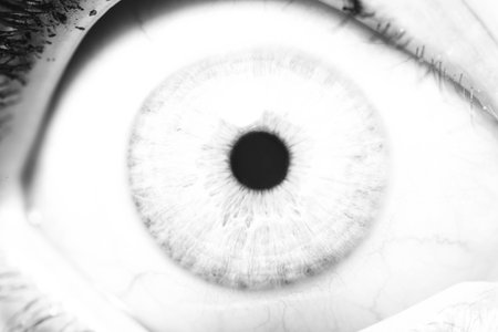 Beautiful macro closeup shot of a human's deep eyesの写真素材