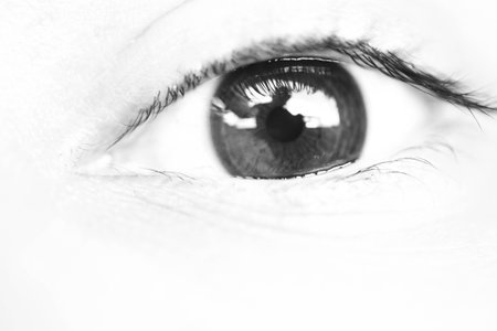 Beautiful macro closeup shot of a human's deep eyesの写真素材