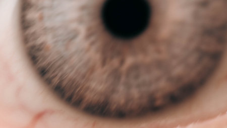 Beautiful macro closeup shot of a human's deep eyesの写真素材