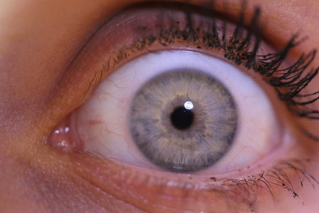 Beautiful macro closeup shot of a human's deep eyesの写真素材