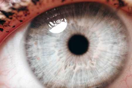 Beautiful macro closeup shot of a human's deep eyesの写真素材