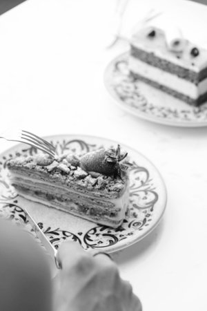 Chocolate Drip Cake with Berriesの写真素材