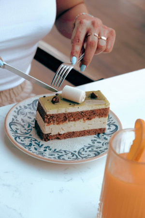 Layered Cake Slice on a Fancy Plate