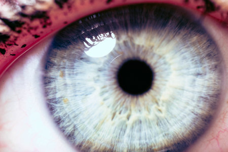 Beautiful macro closeup shot of a human's deep eyesの写真素材