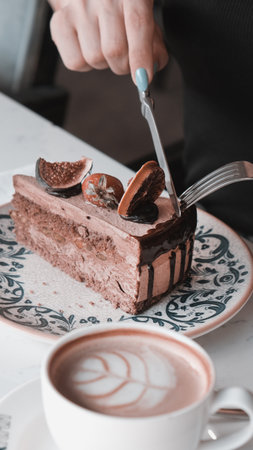 Chocolate Drip Cake with Berries and Flowersの写真素材