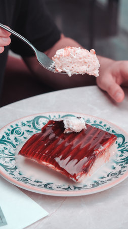 Delicious and Creamy Trilece Dessertの写真素材