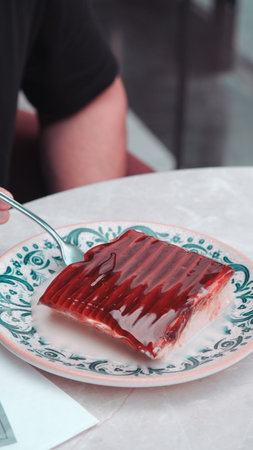 Delicious and Creamy Trilece Dessertの写真素材