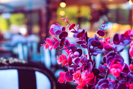 Beautiful flowers in a restaurant - Vintage effect picture style pictures.の写真素材