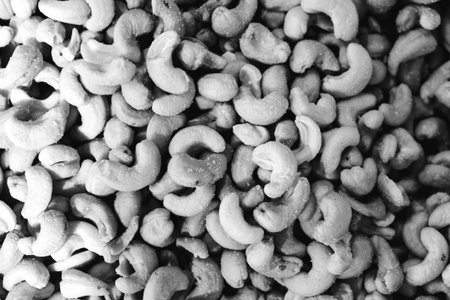 Roasted cashew nuts in black and white. Cashew nuts backgroundの写真素材