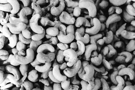 Roasted cashew nuts in black and white tone for background.の写真素材