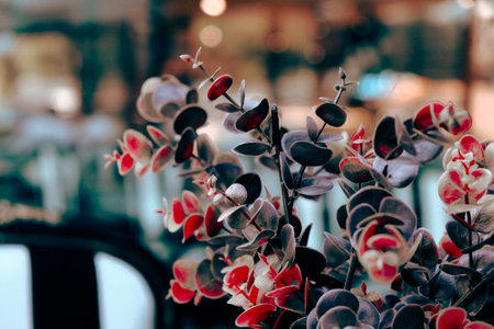 Red and black flowers on the background of a window in a cafe