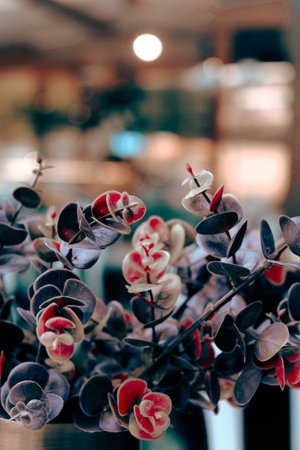 Flowers in a pot on the table in the cafe. Selective focus.の写真素材