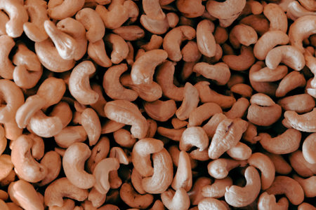 Roasted cashew nuts background. Close-up of cashew nutsの写真素材