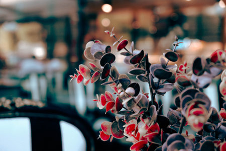 A closeup shot of beautiful flowers in a cafe with blurred background