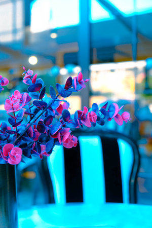 Purple flowers on a chair in a cafe. Selective focus.の写真素材