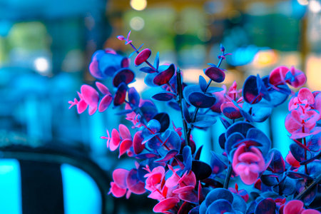 Beautiful flowers in a restaurant. Colorful flowers in a restaurantの写真素材