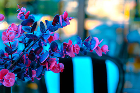 purple eucalyptus flowers in a cafe, shallow depth of fieldの写真素材