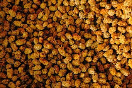 Background of yellow mulberry berries. top view Food background.