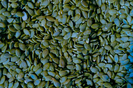 Pumpkin seed background. Close up of green pumpkin seeds.の写真素材